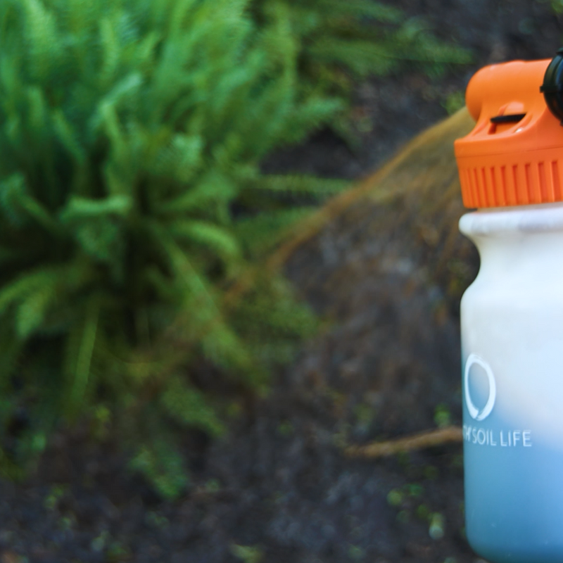Spray
